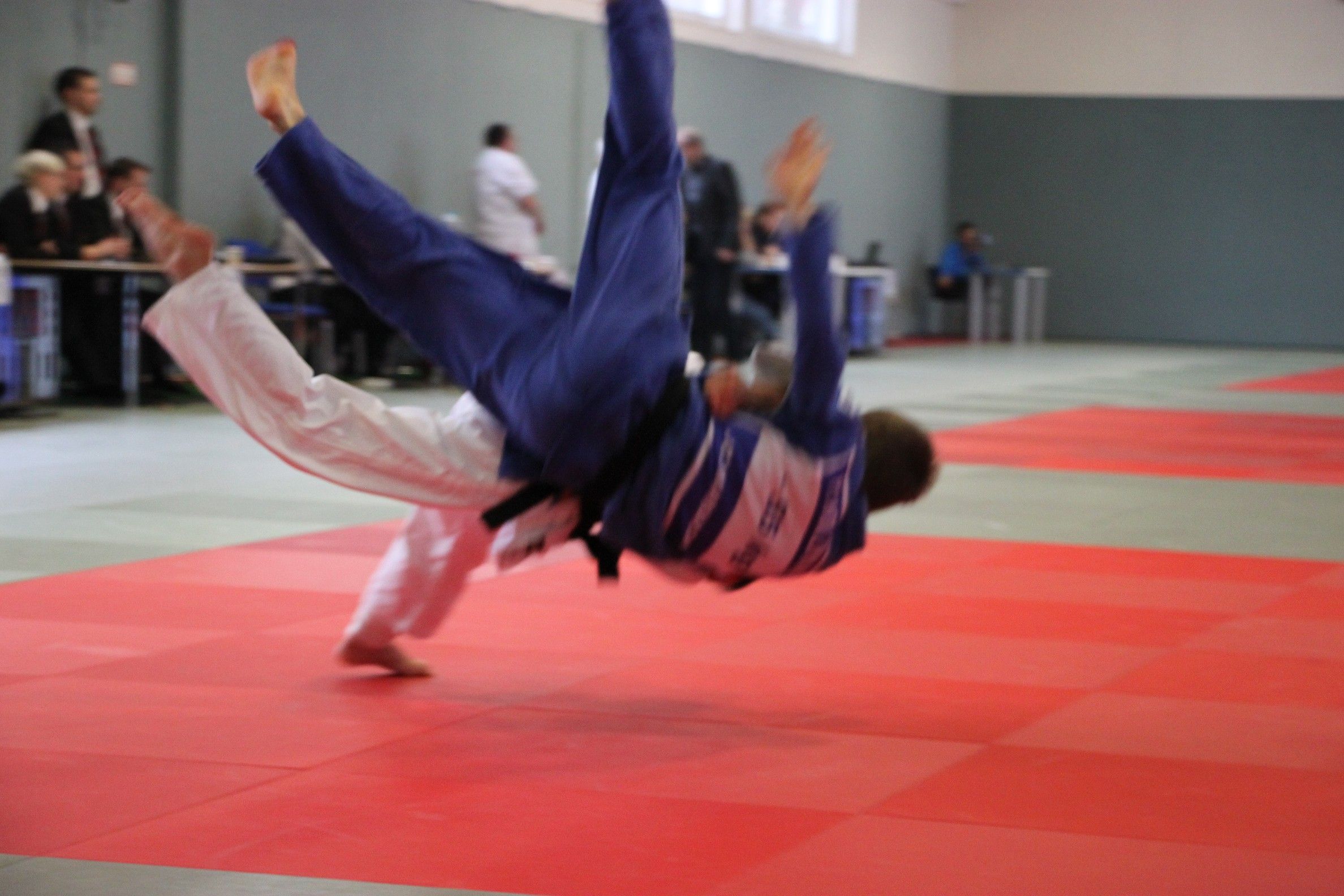 2017 02 04 StrausbergIMG 9244