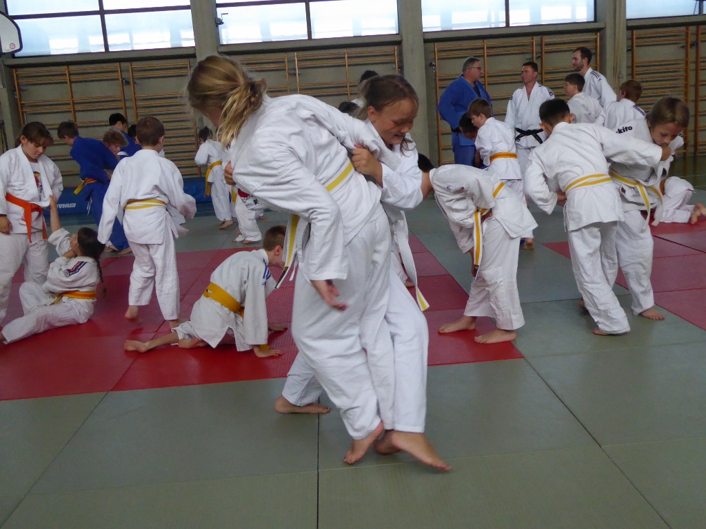 Bezirksrandori 2017 4