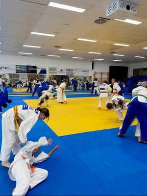 Judoeinheit Judoeinheit