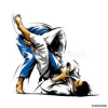 Afterwork-Lehrgang - Bodentechniken erweitern mit BJJ
